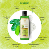Vagad’s Herbal Green Apple Shampoo with Aloe Vera & Neem – Sulfate-Free Refreshing Cleanser for Hair & Scalp - 210ml
